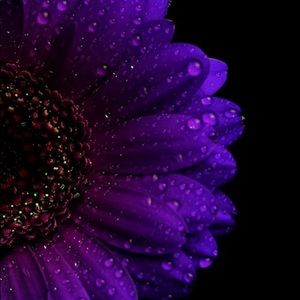 Meet your Posher, Inga